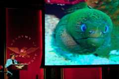 Dr. Sylvia Earle shares her amazing images of creatures in the deep ocean. 