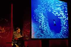 David Doubilet presents a breathtaking example of underwater photography. 