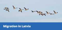 Migration in Latvia