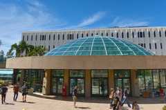 Library Dome