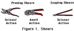 figure 1, pruning and lopping shears