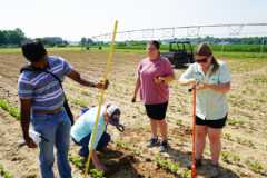 Intern students working in field at West TN AgREC