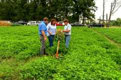 Staff examining crop plantings.