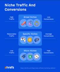 Niche traffic and conversions