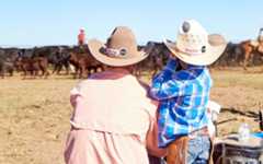The Arrival of Felt Hat Season