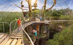 Family glamping experience in Spicewood, Texas