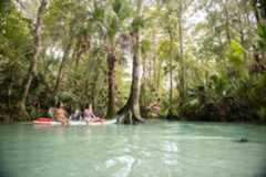 Rock Springs near Apopka, Florida