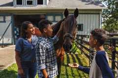 The Kentucky Horse Park in Lexington, Kentucky