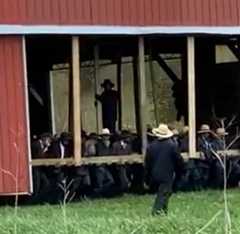 300 Amish Move 10-Ton Barn 900 Feet In 20 Minutes