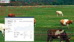 AV1 codec on Android and Windows. Compatibility 17 av1 cpu performance n01