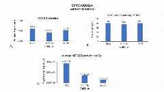 Click to enlarge image Single cell western blot using CPTC-MDM2-1 as a primary antibody against cell lysates. Relative expression of total MDM2 in HeLa, MCF10A, and LCL57 cells (A).  Percentage of cells that express MDM2 (B). Average expression of MDM2 protein per cell (C). All data is normalized to β-tubulin expression.