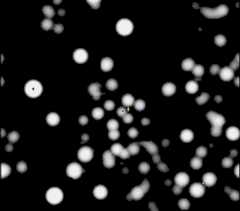 See Explanation.  Clicking on the picture will download  the highest resolution version available.