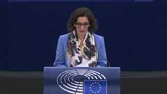 EU Preparedness Union Strategy: extracts from the debate