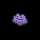 Ditto (Pokémon)