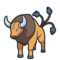 Tauros