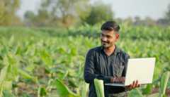 A young agronomist examining the field