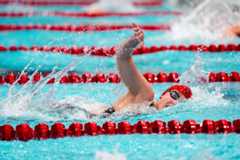 Razorbacks to Face SMU and Little Rock in Back-to-Back Matchups