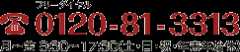 フリーダイヤル：0120-81-3313　月〜金9：30〜17：30（土・日・祝・年末年始休）