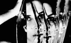 Carolee Schneemann