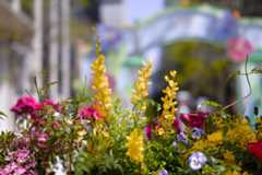 未来カメラ「Sigma BF」実機レビュー