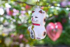 未来カメラ「Sigma BF」実機レビュー