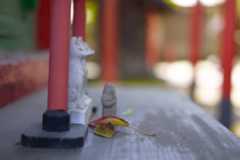 未来カメラ「Sigma BF」実機レビュー