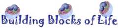 Cell Building Blocks