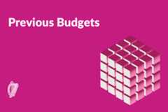 Previous budgets
