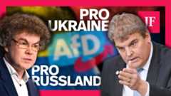 Duell zwischen zwei AfD-Bundestagsabgeordneten | Ist die AfD zu russlandfreundlich?