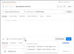 Example messages