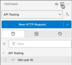 The Postman Console option