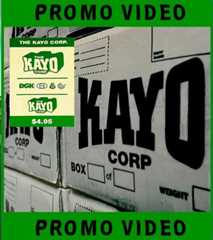 The Kayo Corp - Promo cover