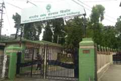 IIM Shillong