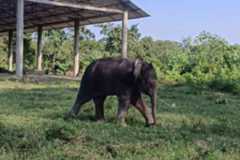 Representational Image