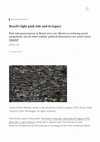 Research paper thumbnail of Brazils light pink tide and its legacy