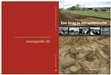 Research paper thumbnail of Een brug te ver onderzocht. Archeologisch onderzoek in Stadsblokken-Meinerswijk, gemeente Arnhem