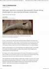 Research paper thumbnail of 500-year -old horn container discovered in South Africa sheds light on pre-colonial Khoisan medicines