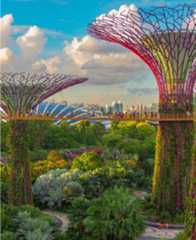 Super Tree Grove
