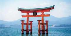 Torii Gate