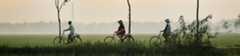 People Riding Bicycles