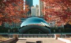 Chicago Bean