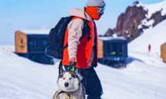 Person Walking Husky in the Snow