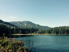 Forest & Lake