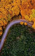 Avance-Autumn-Banners-2025-320x512px-menu