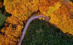 Avance-Autumn-Banners-2025-750x470px-website-post