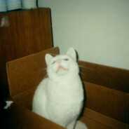 Avatar for The Stranger