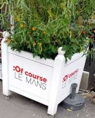 "Of course Le Mans", ou la servilité globish