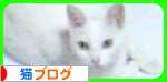 にほんブログ村 猫ブログへ