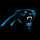Carolina Panthers