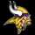 Minnesota Vikings